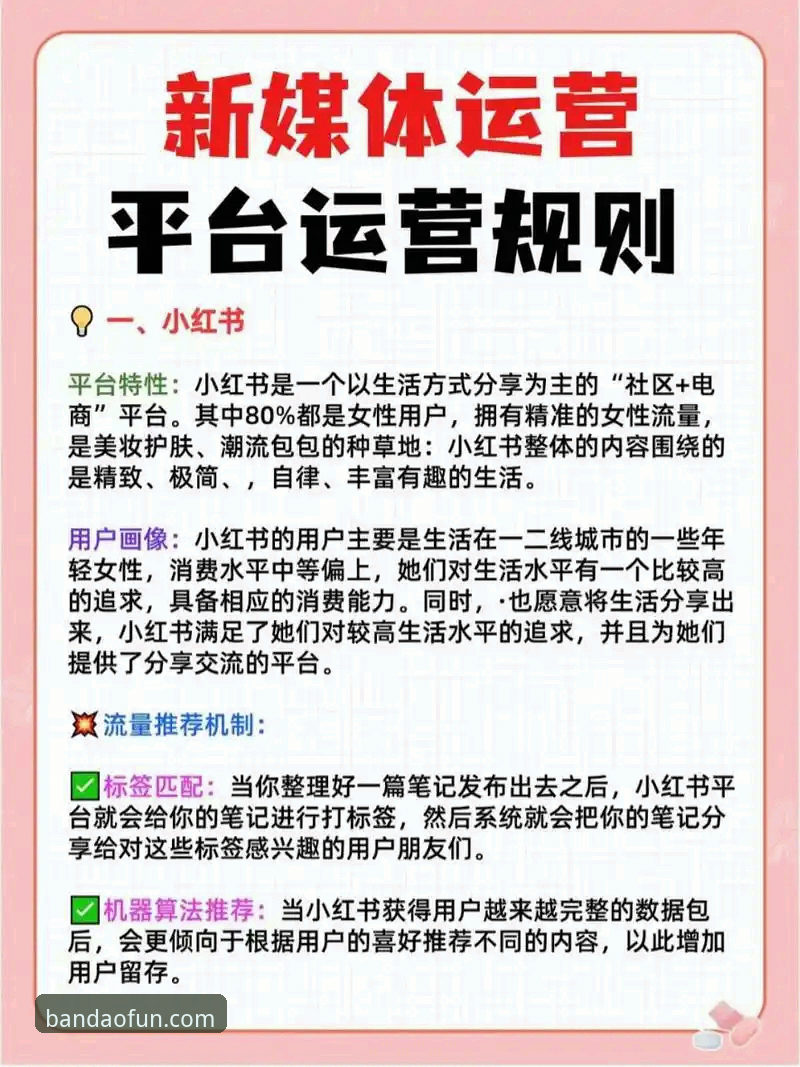 深度揭秘：半岛娱乐新手教程使用技巧背后的高效捷径与避坑指南